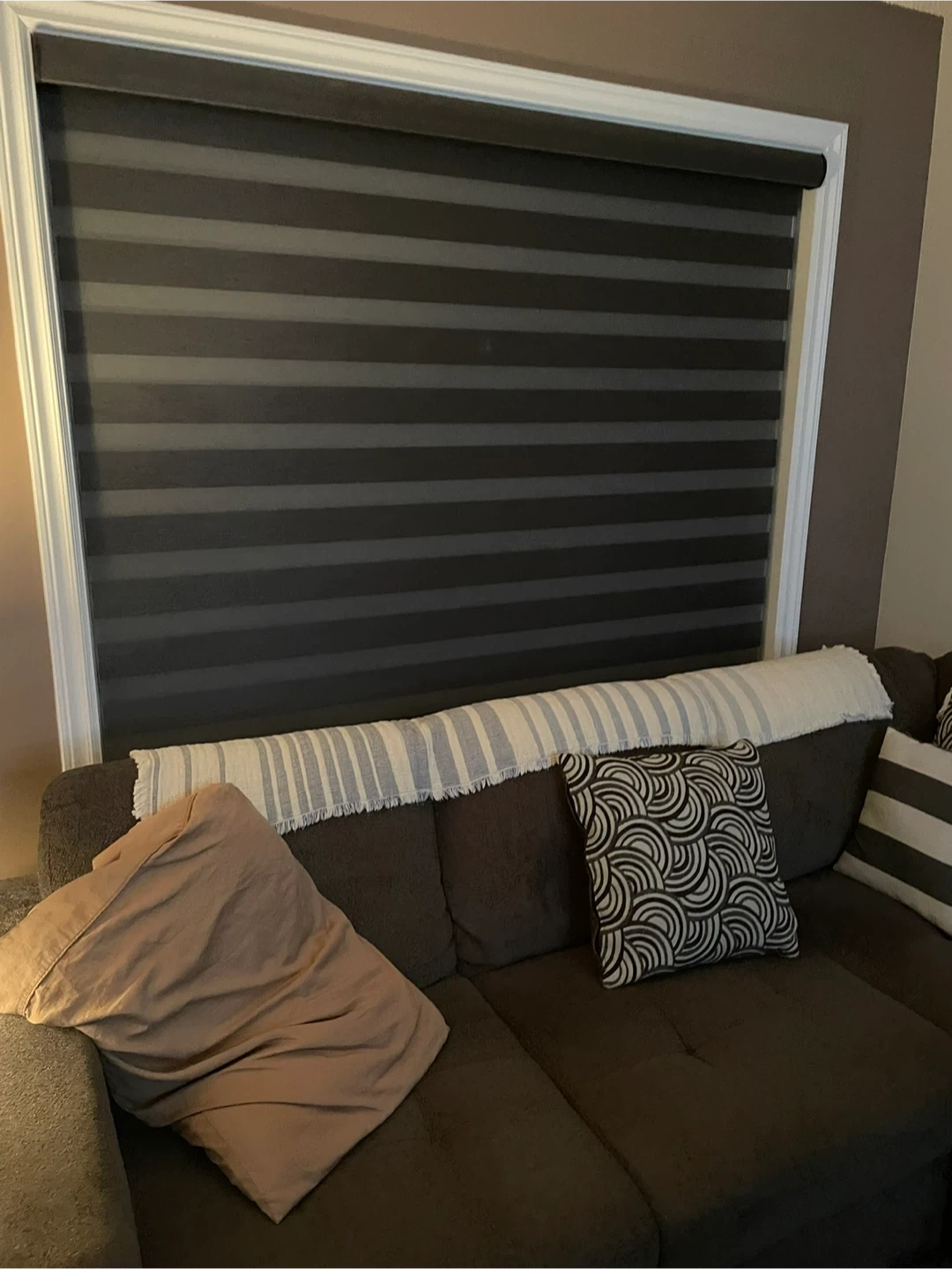 Window Roller Blinds