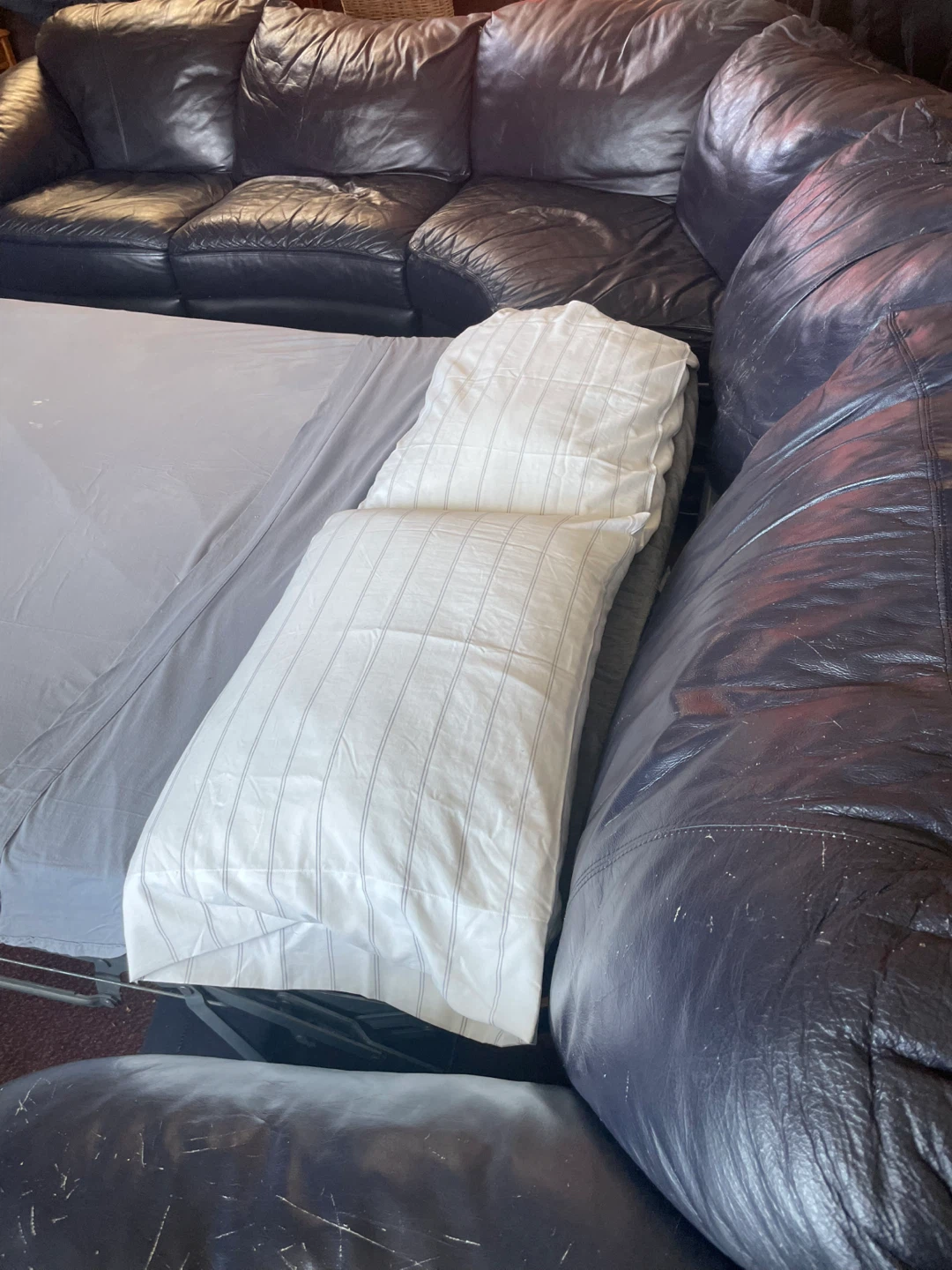 NATUZZI Sectional Sofa with Sofa Bed - photo 5