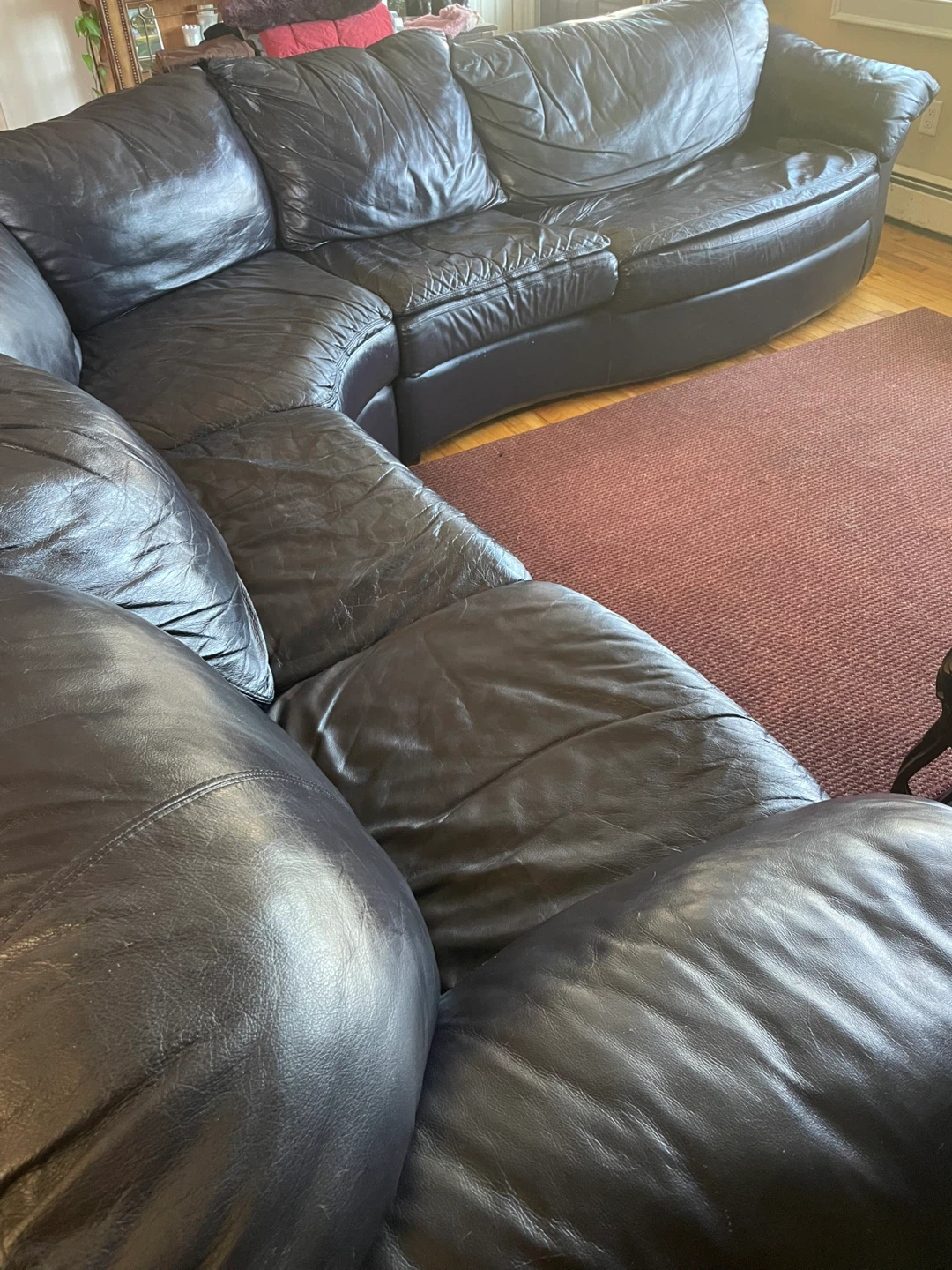 NATUZZI Sectional Sofa with Sofa Bed