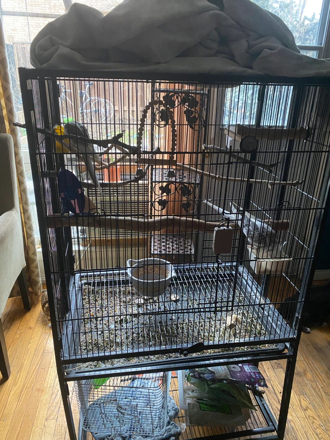 Large Bird Cage with Perches
