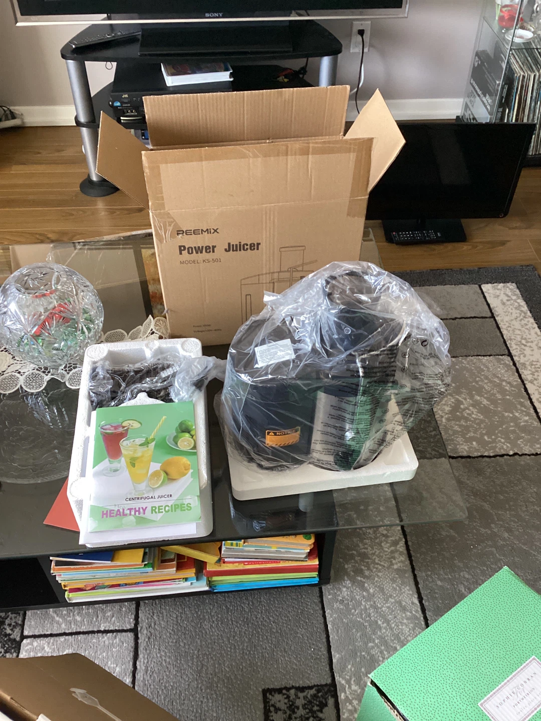 REEMIX Power Juicer - Model KS-501 - photo 2