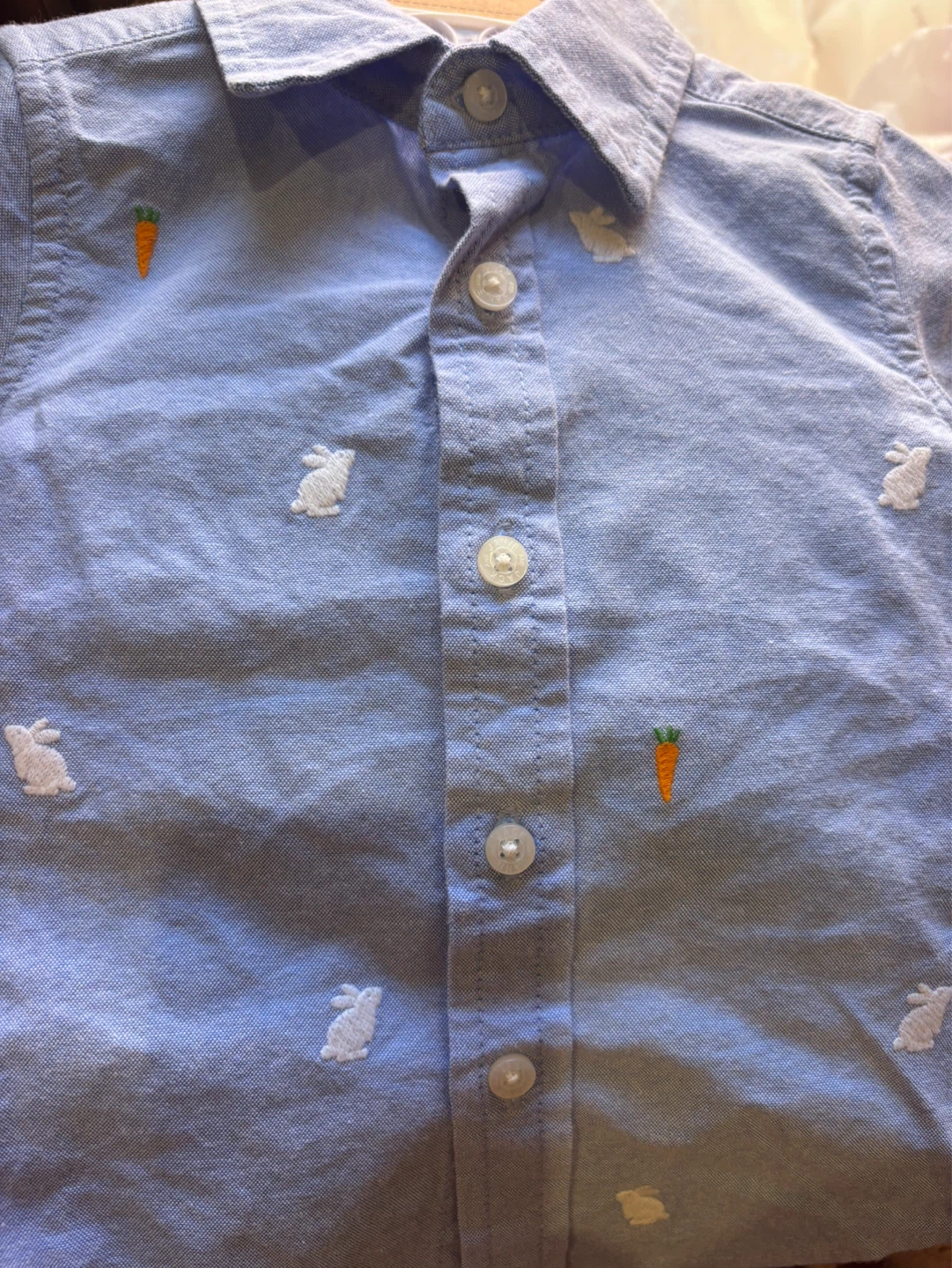 Janie and Jack Blue Bunny and Carrot Embroidered Button-Up Shirt - photo 3