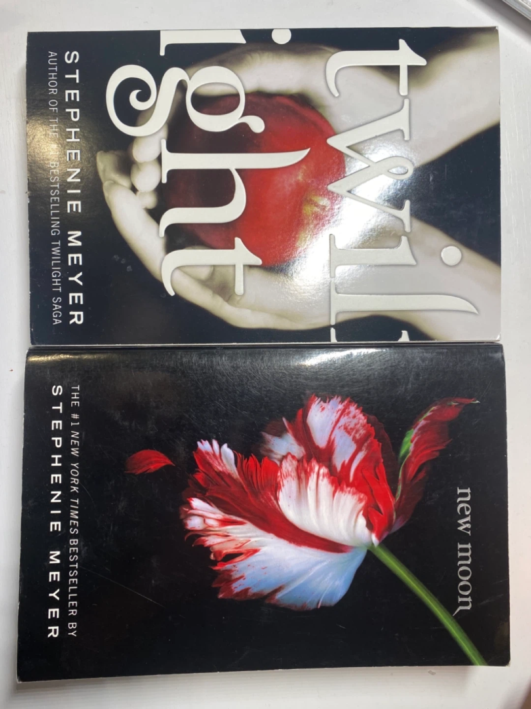 The Twilight Saga Books: Twilight & New Moon