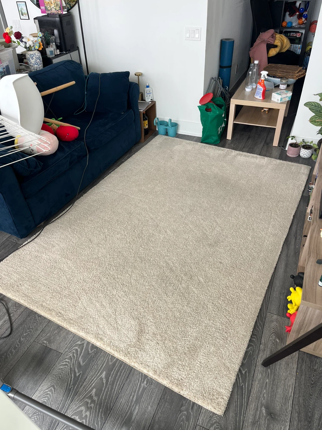 Large Cream Shag Area Rug