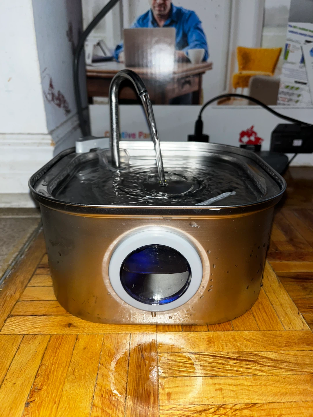 🥕Stainless Steel Pet Fountain