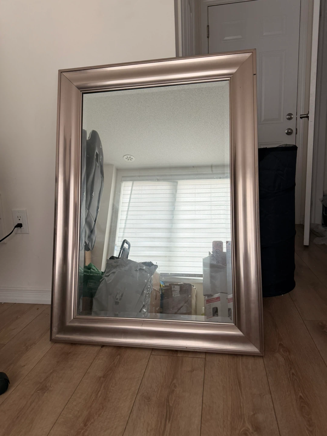 Rectangular Champagne Mirror 31.2 in x 48.2 in