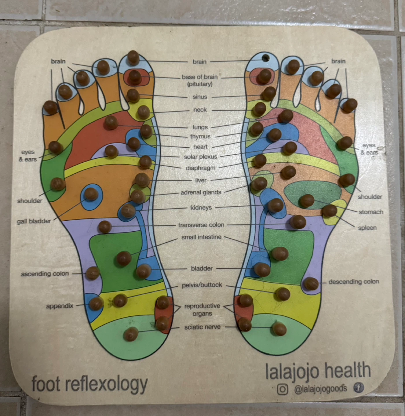 Foot Reflexology Chart Board