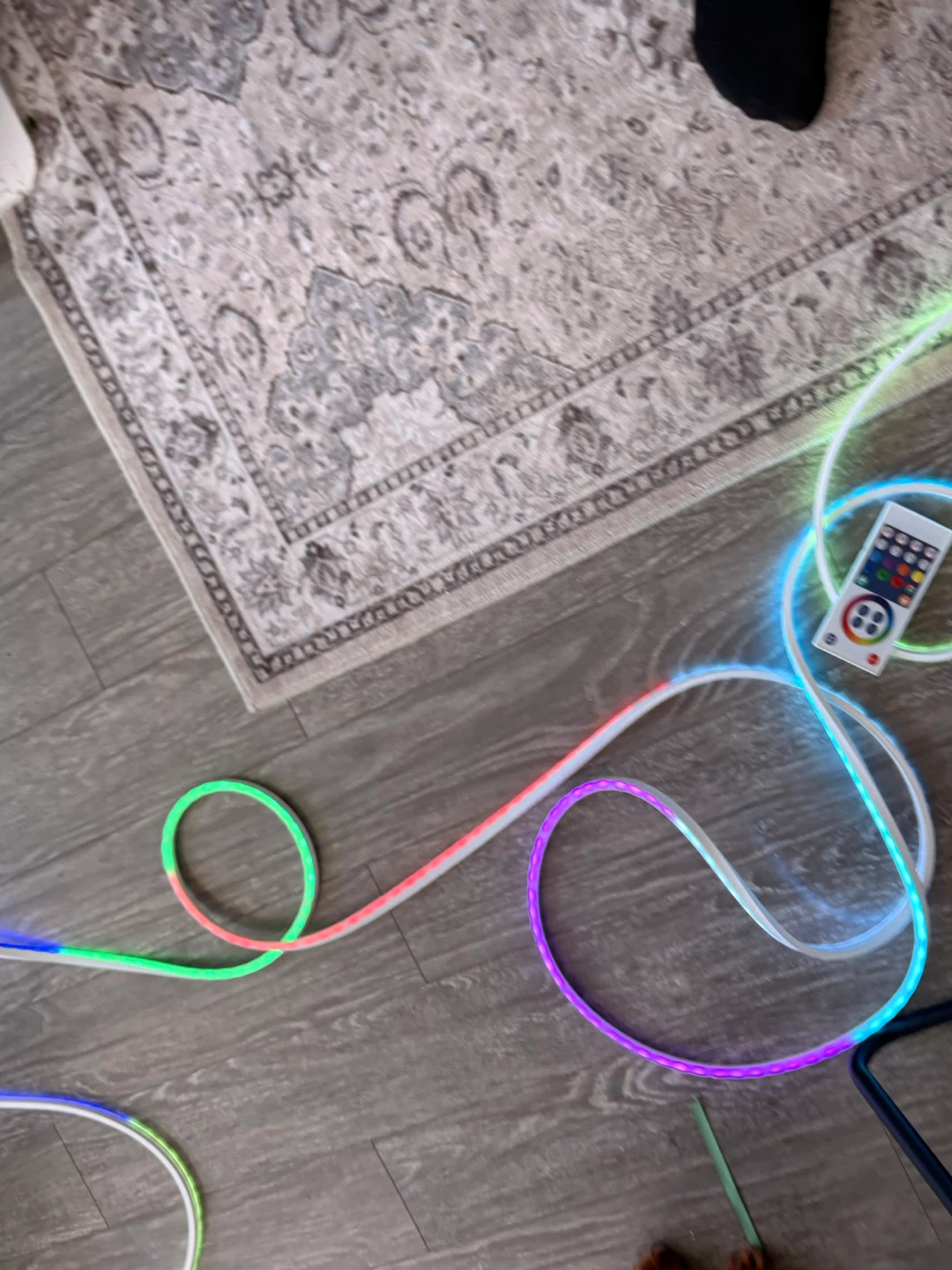 RGBIC Neon Light Strip with WiFi Remote