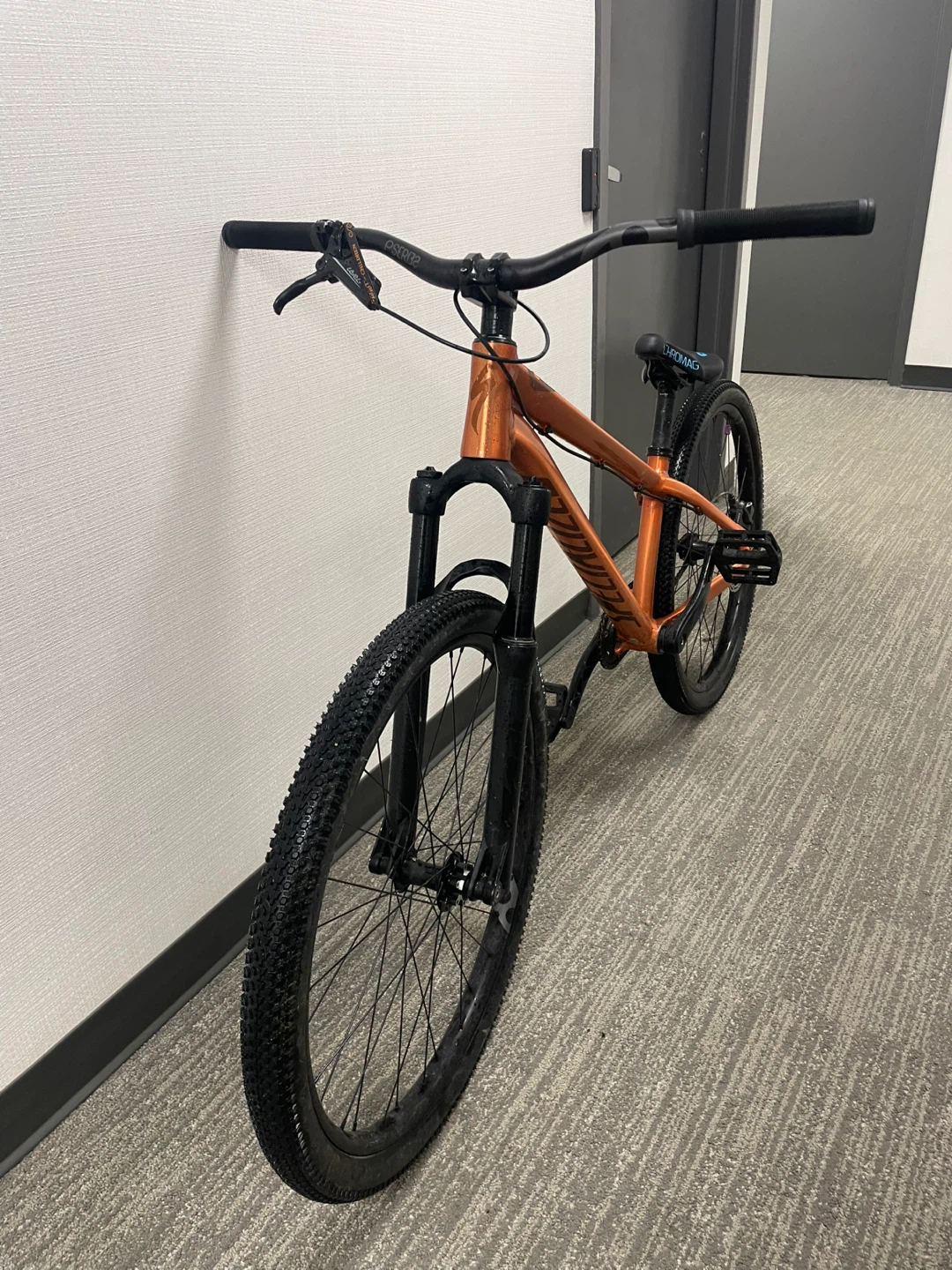 Specialized P3 dirtjumper
