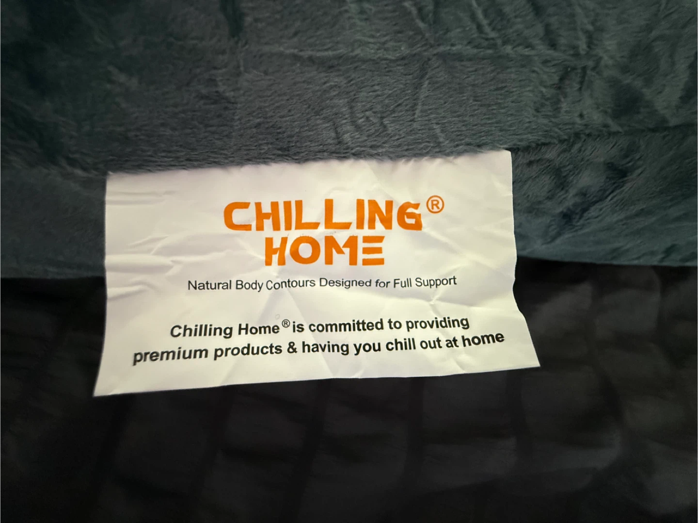 Chilling Home U-Shaped Maternity Pillow - photo 3