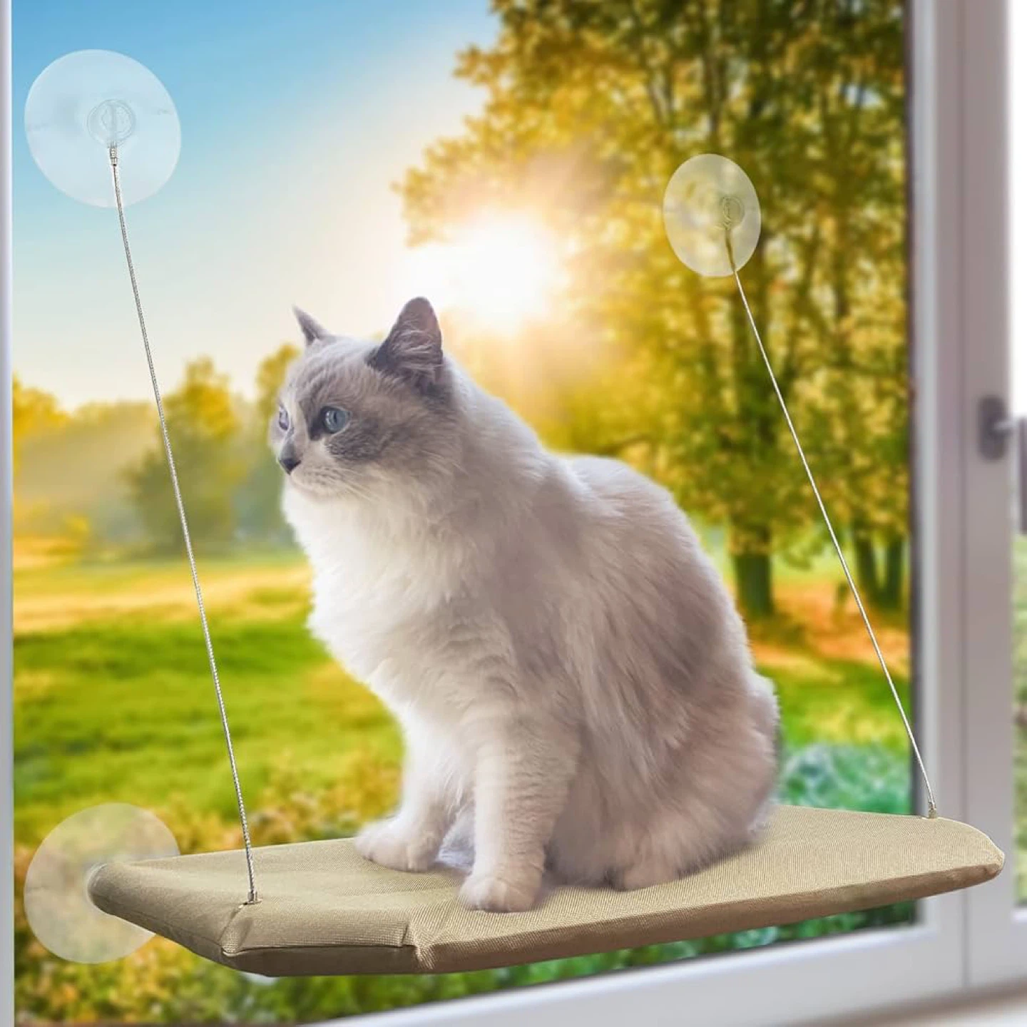 Suction Cup Cat Window Perch