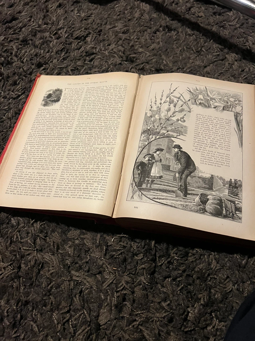 Cassell's Family Magazine 1886 & 1887 Hardcover Books - photo 4