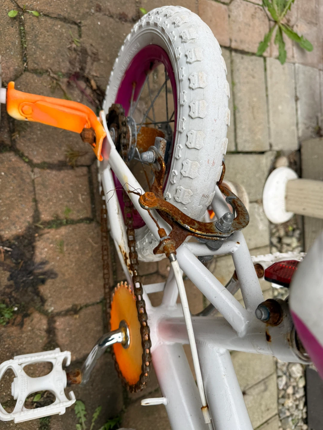 🥕 Kids Bicycle - photo 5