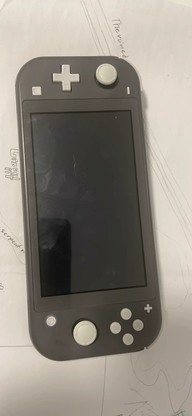 Nintendo Switch Lite and android tablet - photo 4