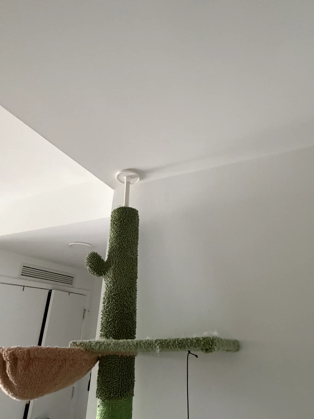 FREE Cat Tower - photo 3