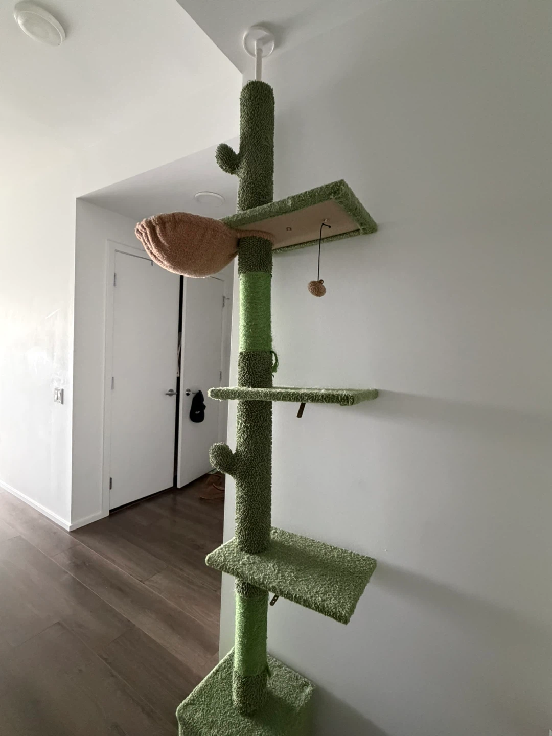 FREE Cat Tower