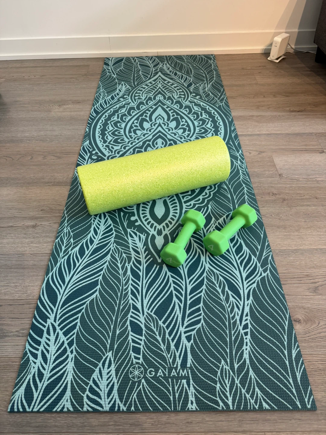 2 Dumbbells, Yoga Mat and Foam roller