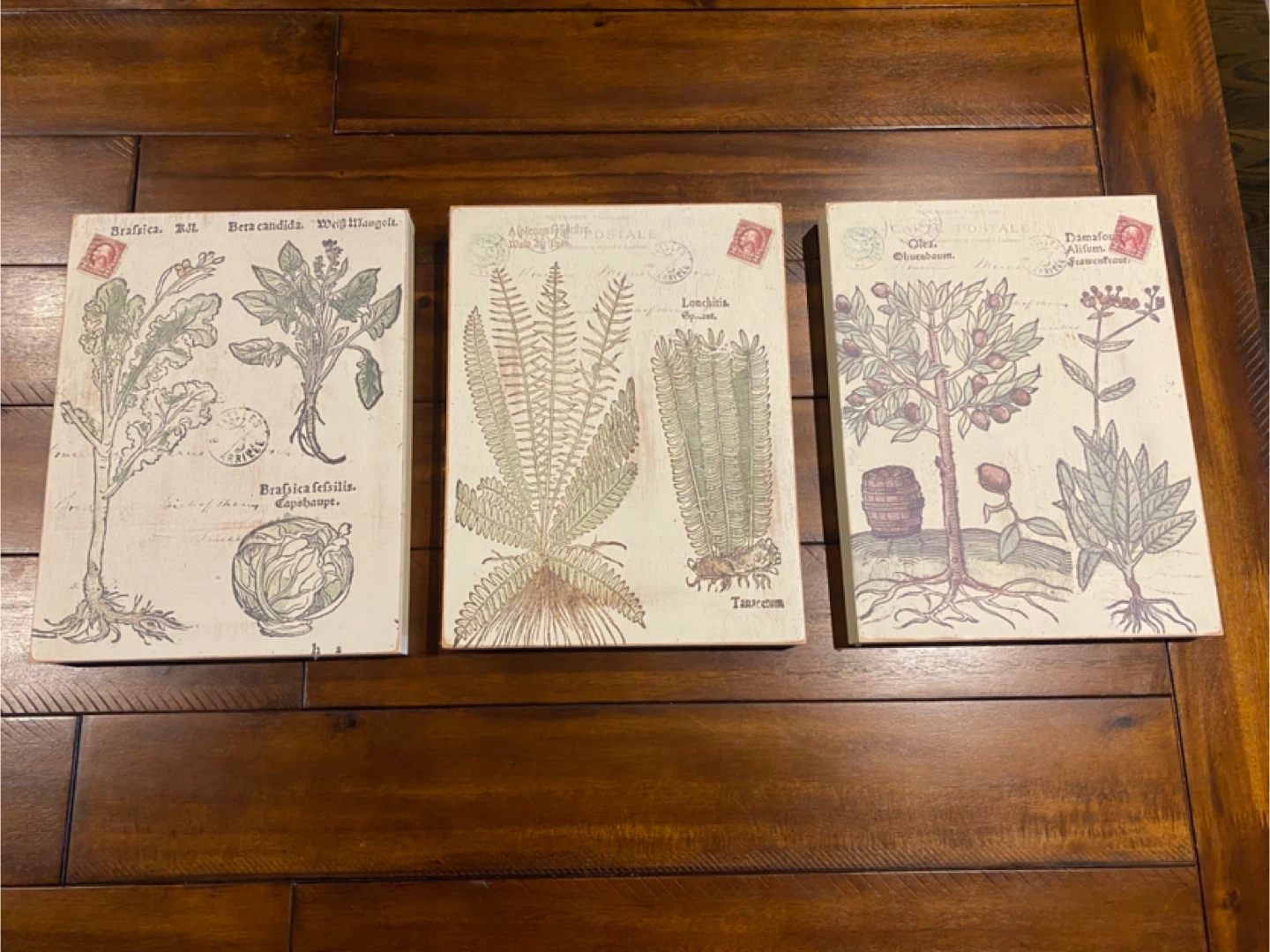 Bombay company ~Set of 3 Botanical Art wood Prints - photo 4
