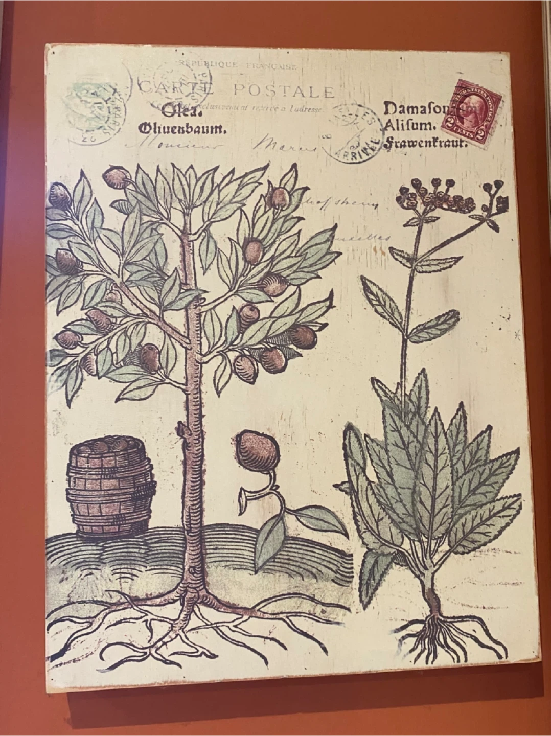 Bombay company ~Set of 3 Botanical Art wood Prints - photo 3