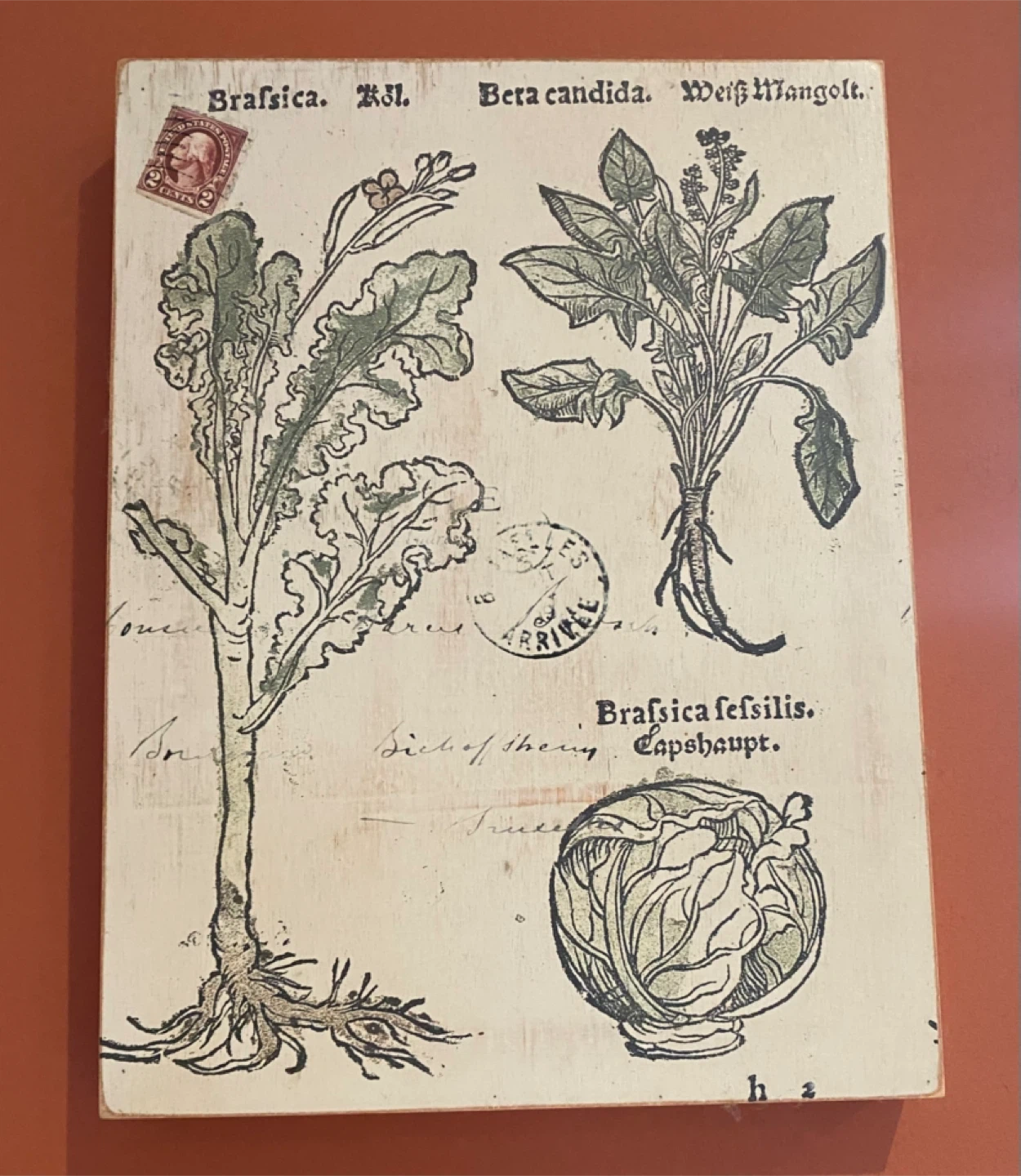 Bombay company ~Set of 3 Botanical Art wood Prints - photo 2