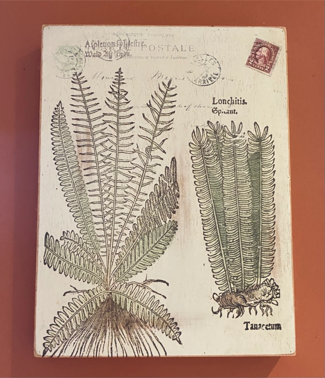 Bombay company ~Set of 3 Botanical Art wood Prints