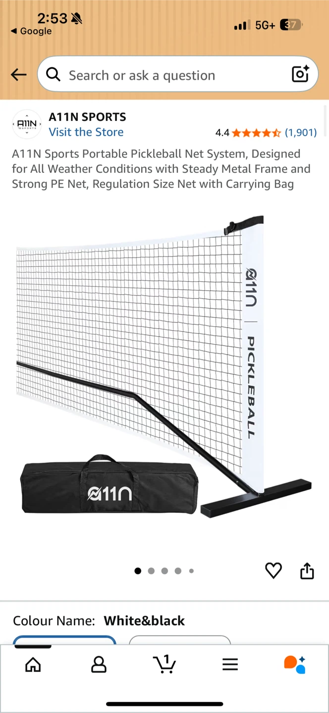 A11N Sports Portable Pickleball Net - photo 3