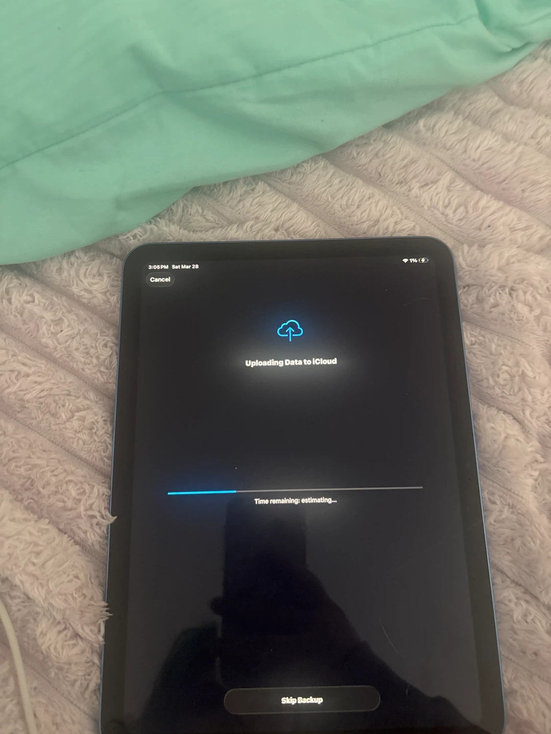 Apple iPad Mini