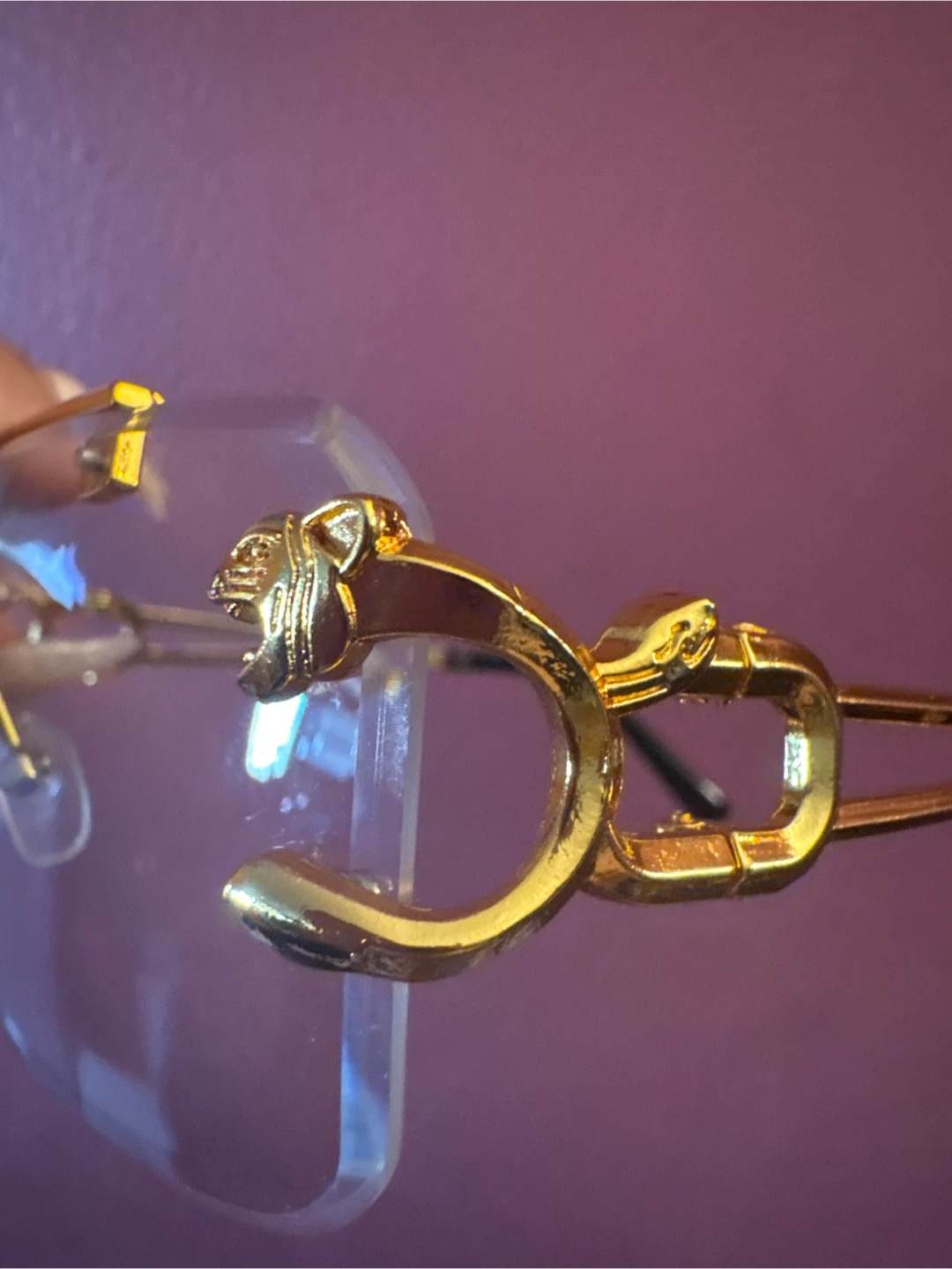 New Gold Rimless  Glasses  with Tiger Detail - photo 3