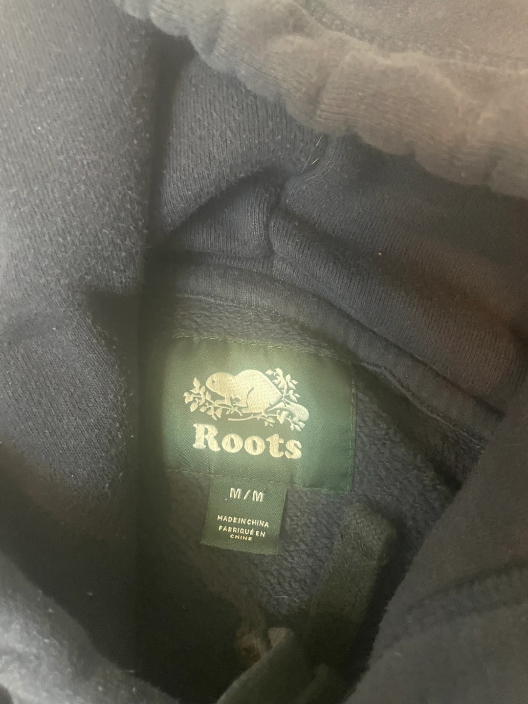 Roots Beaver Logo Hoodie - M/M - photo 5