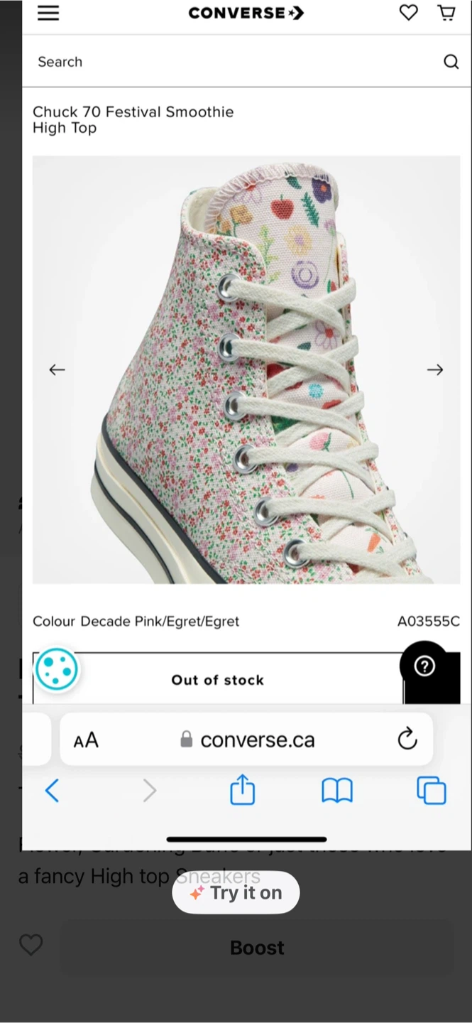 NEw in Box Converse Chuck 70 Festival Smoothie High Top Sneakers