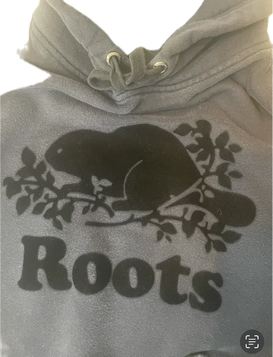 Roots Beaver Logo Hoodie - M/M - photo 2