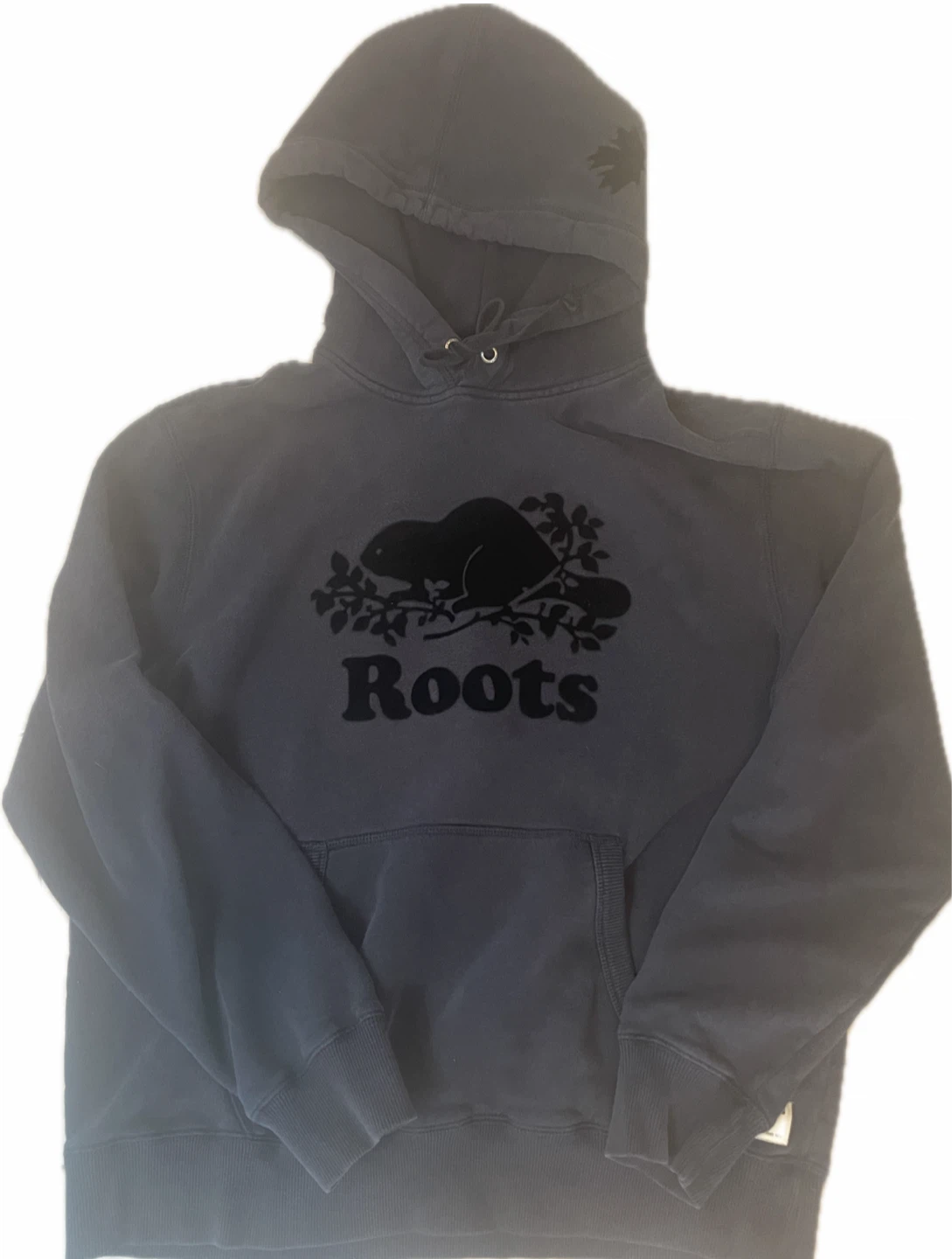Roots Beaver Logo Hoodie - M/M - photo 4