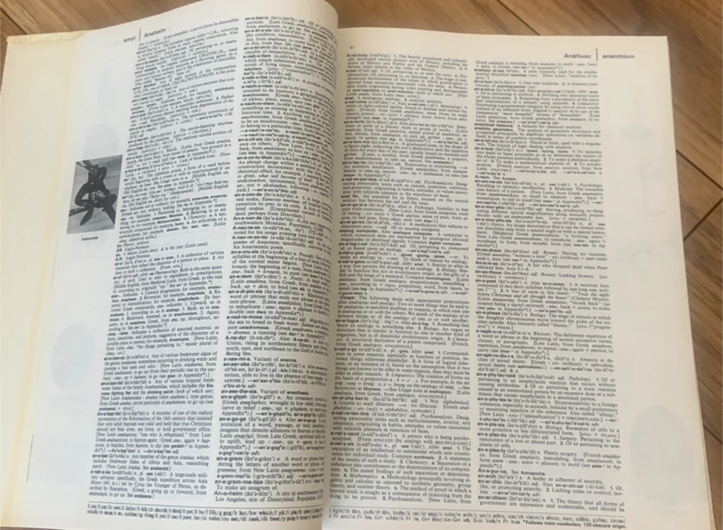 The New Book of Knowledge Dictionary Volume I & 2 - photo 2