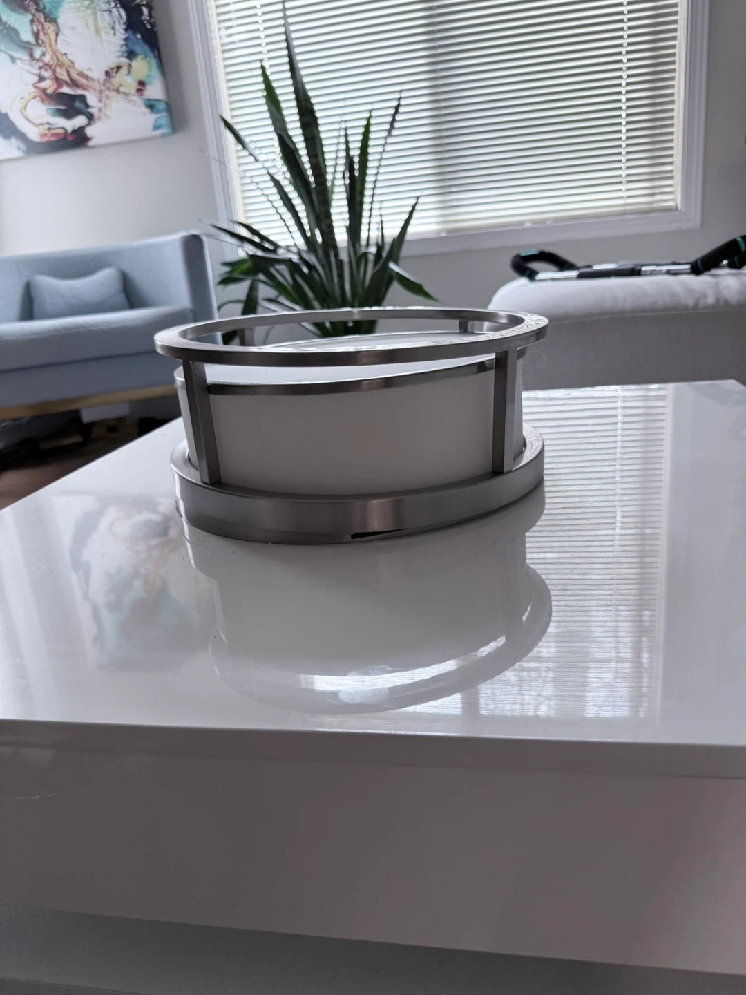 Flush Mount Ceiling Light Fixture