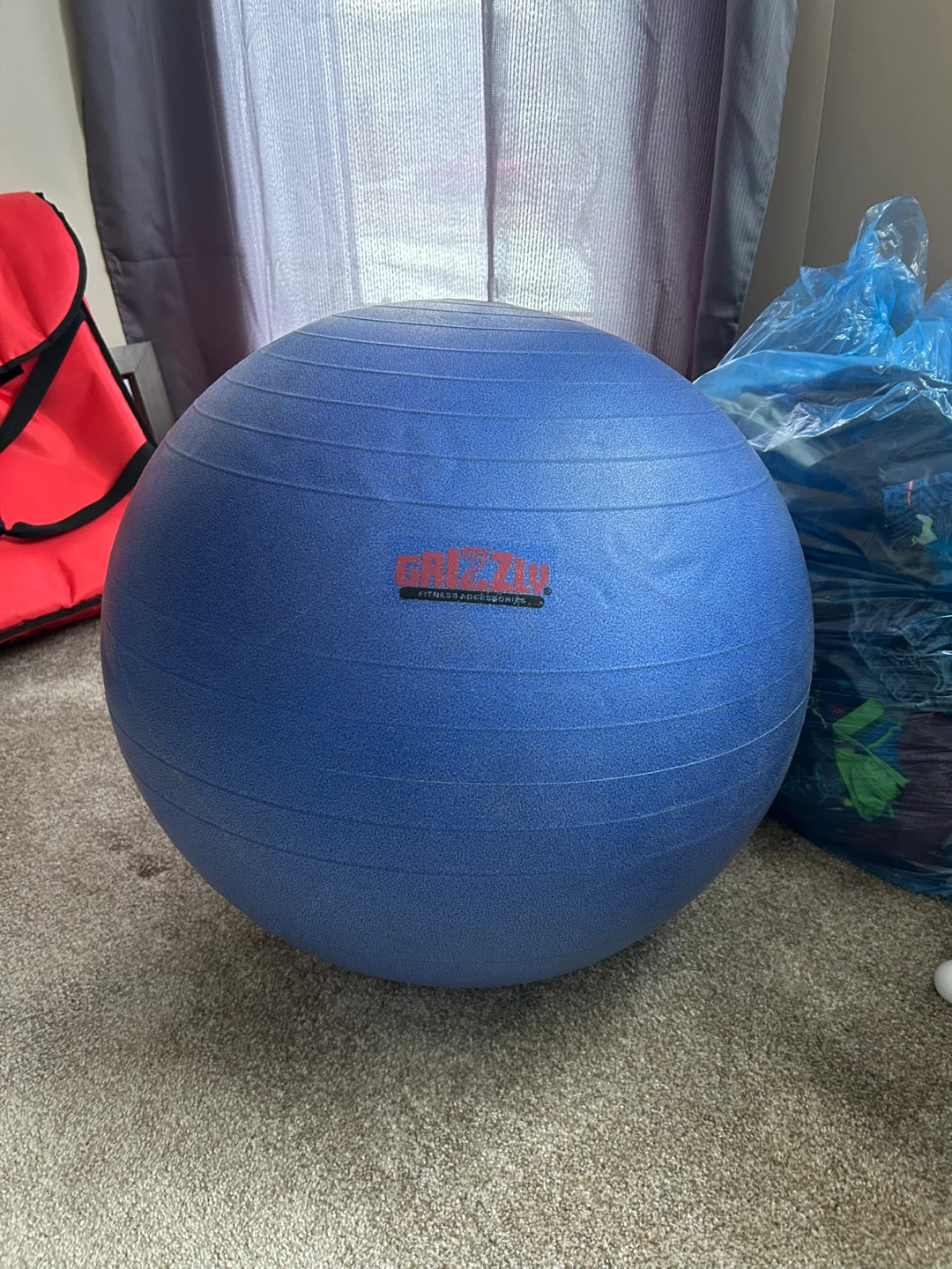 Grizzly Fitness Stability Ball