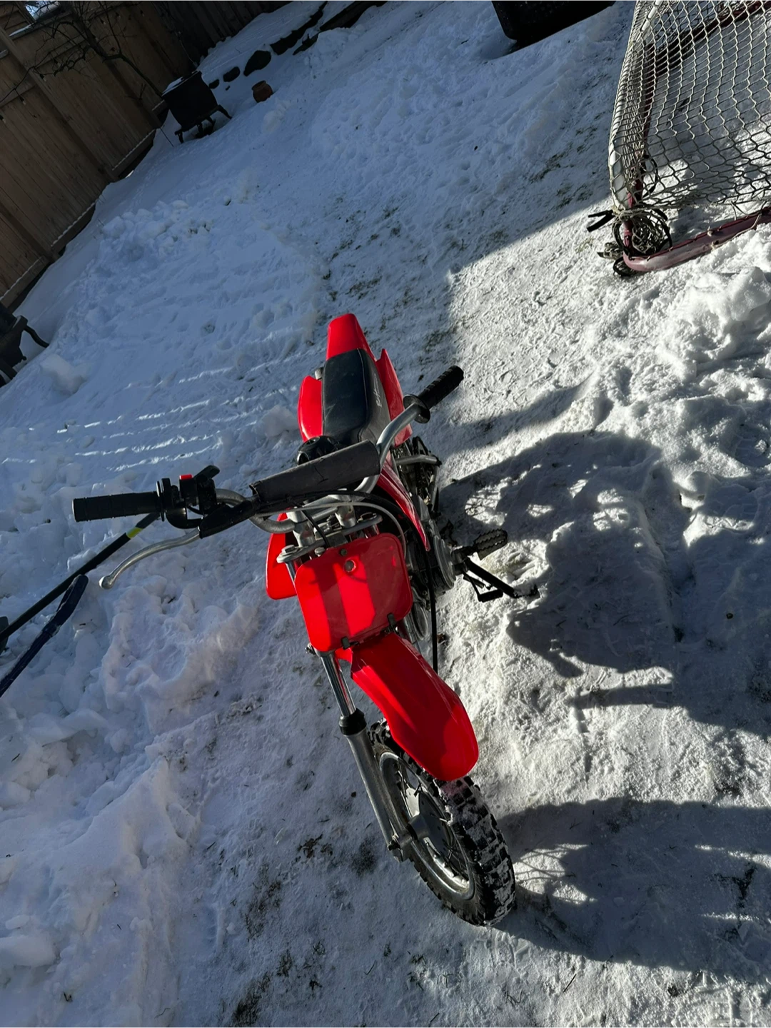 50cc Baja Pit Bike – Fast & Clean - photo 2