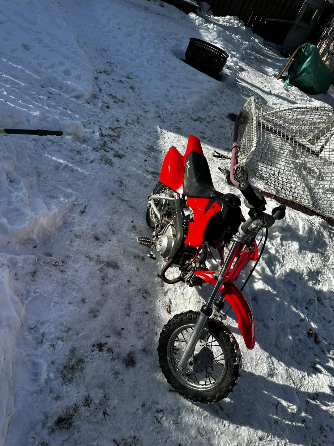 50cc Baja Pit Bike – Fast & Clean
