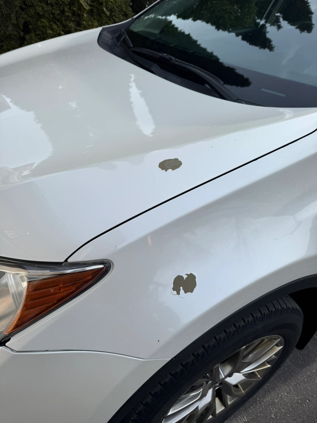 White Toyota RAV4 Limited AWD SUV - photo 5
