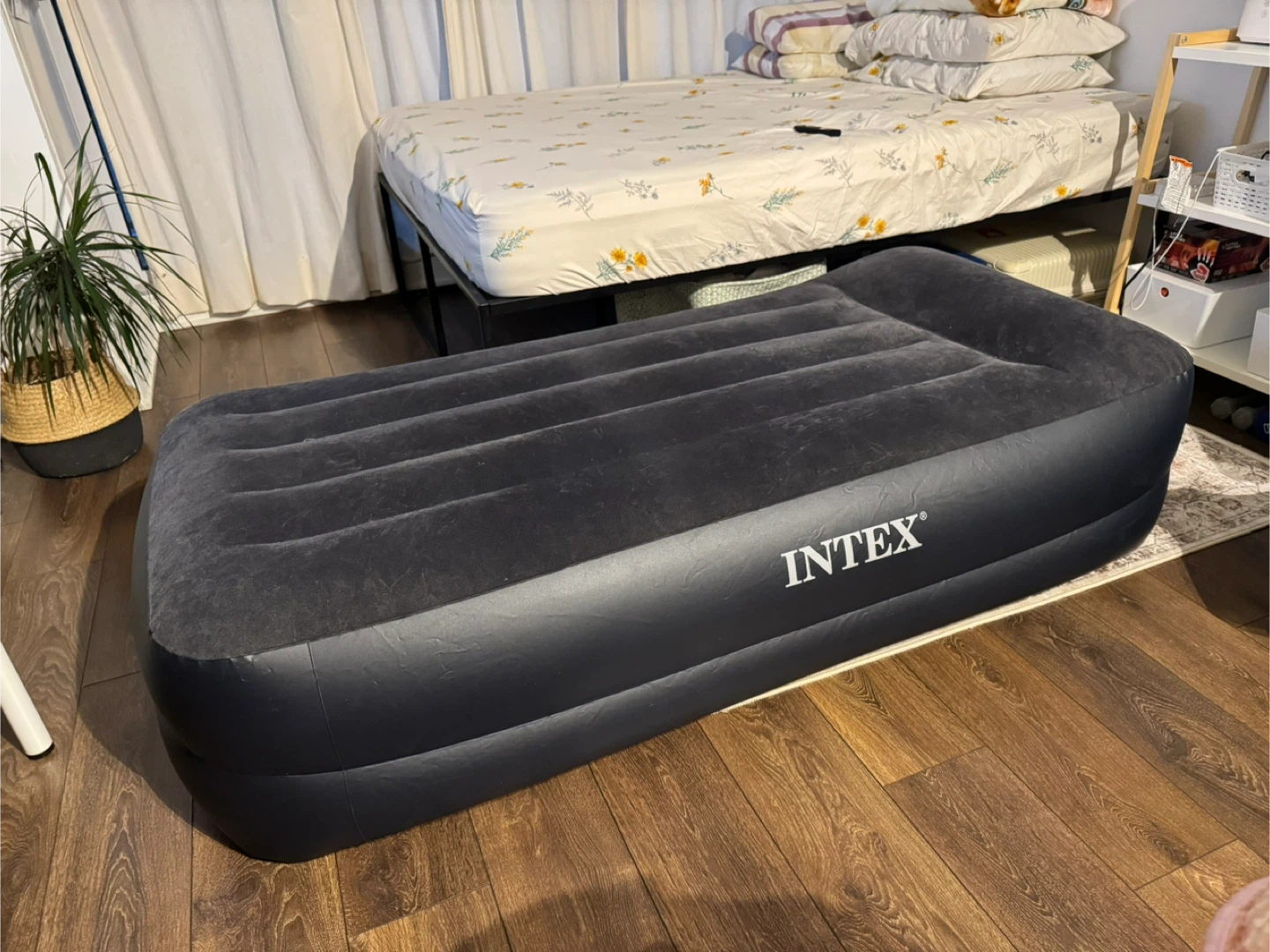 INTEX Air Mattress
