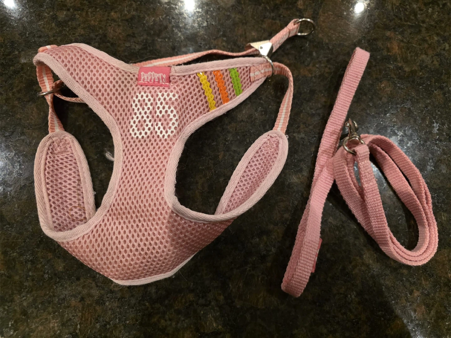 Pink Pet Harness and Leash Set