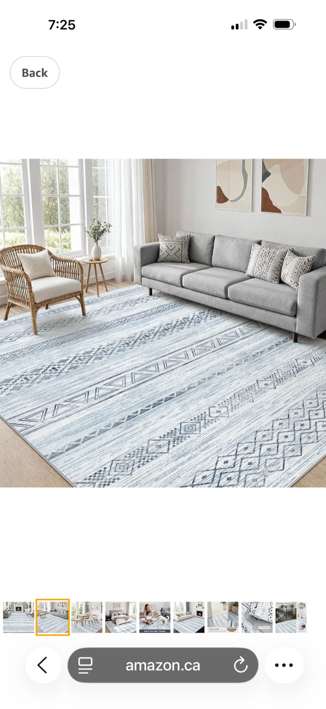 Bran new 8'x10' Area Rug -  Modern Moroccan Boho Blue - photo 3
