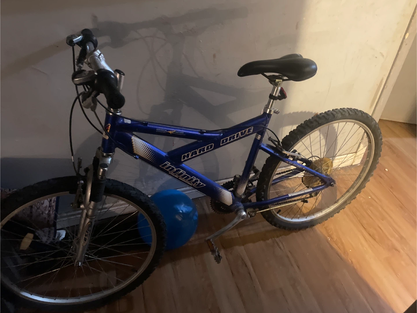 Blue Infinity Hard Drive Mountain Bike