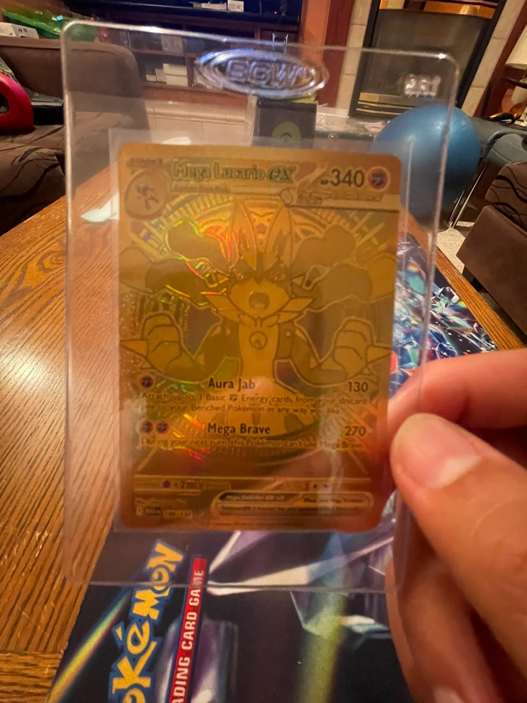Mega Lucario EX