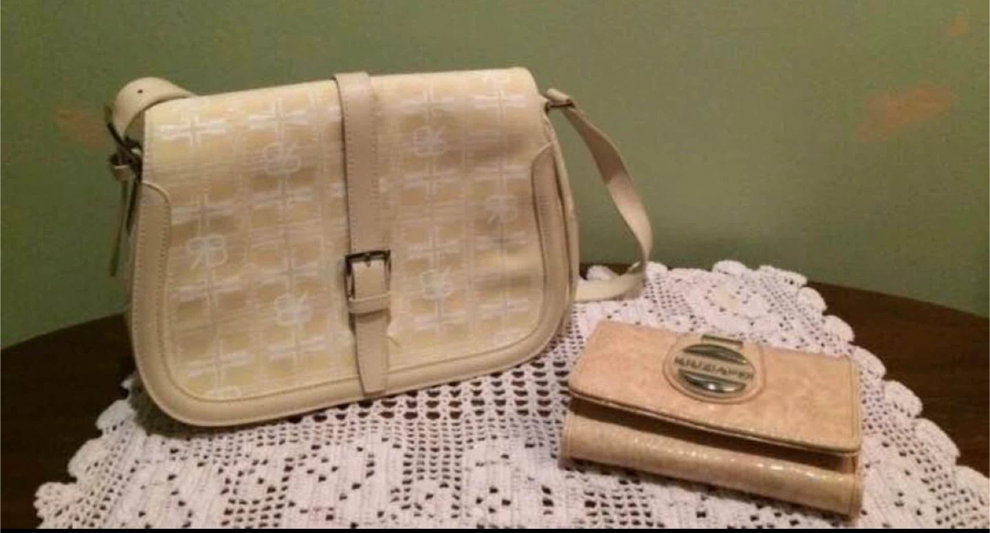 Purse and Wallet set