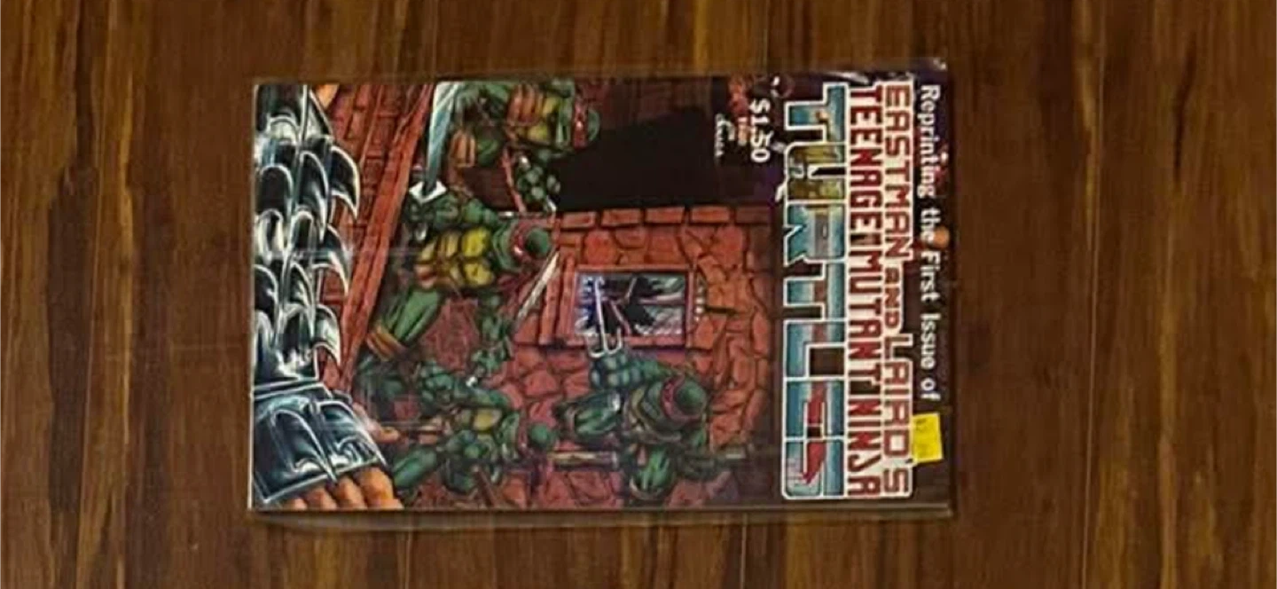 Teenage Mutant Ninja Turtles Comic Book Collection