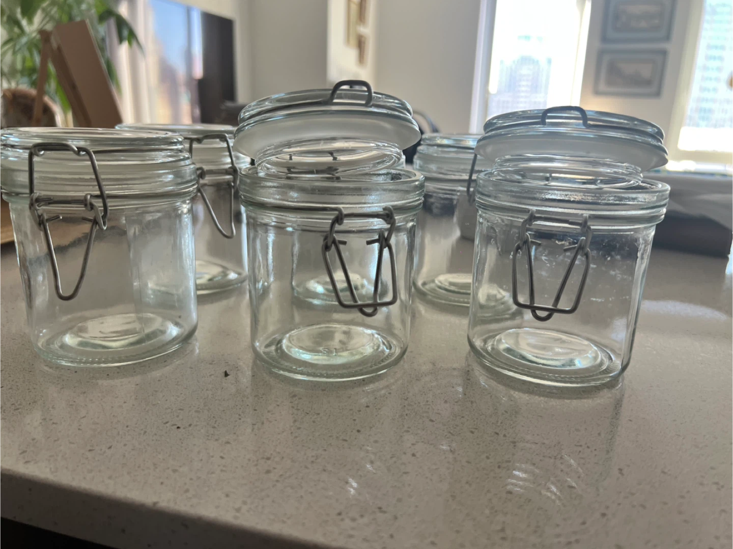 Set of 6 Clear Glass Swing Top Jars