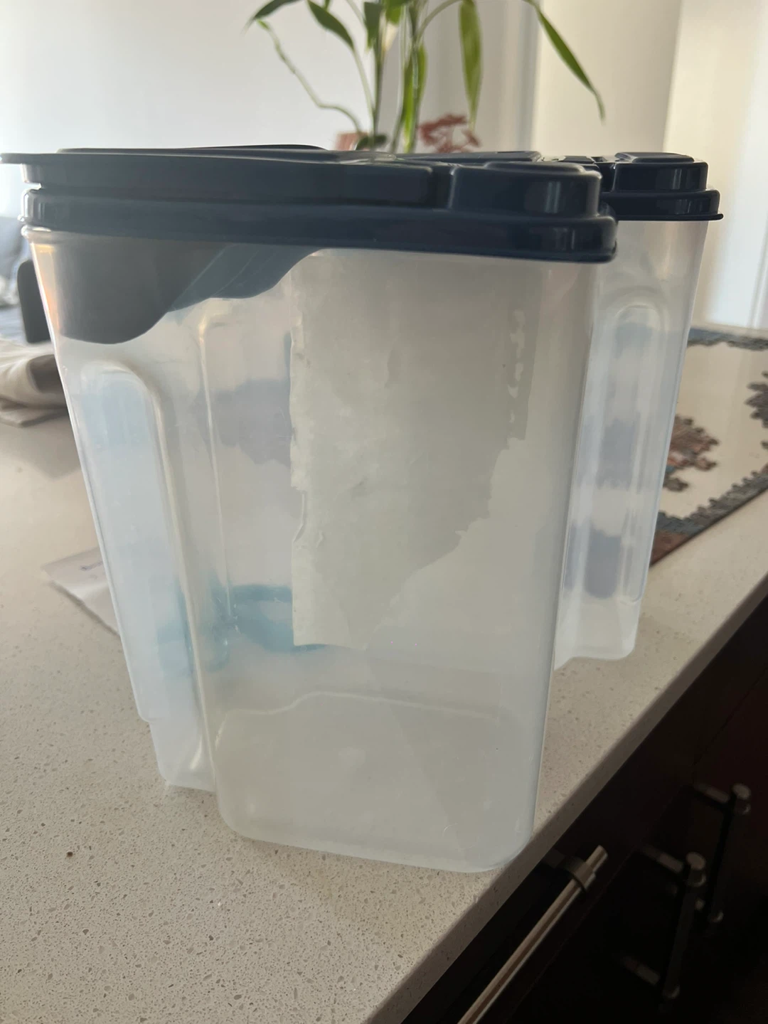 Set of 2 Clear Plastic Food Storage Containers with Lids - photo 2