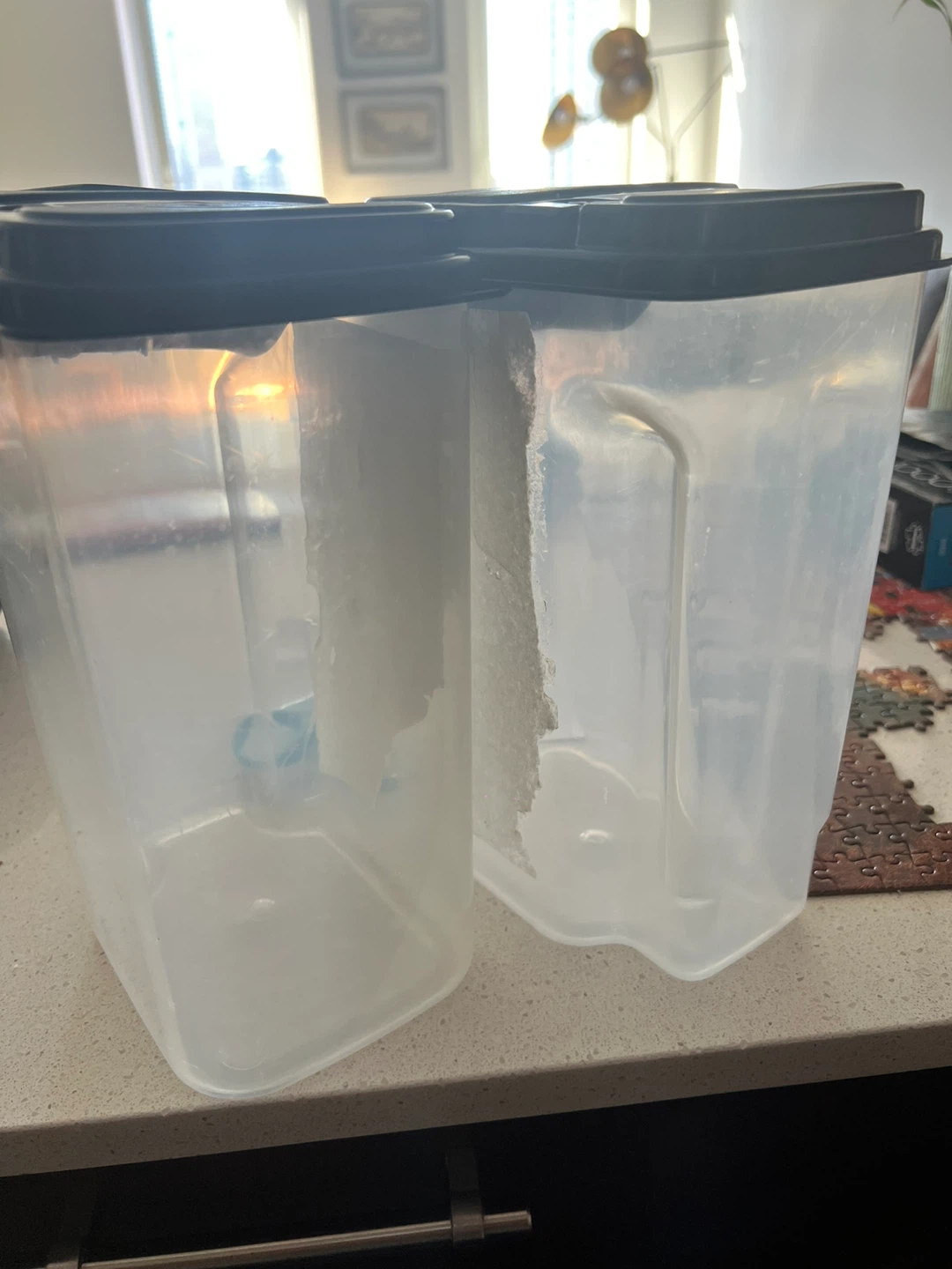 Set of 2 Clear Plastic Food Storage Containers with Lids