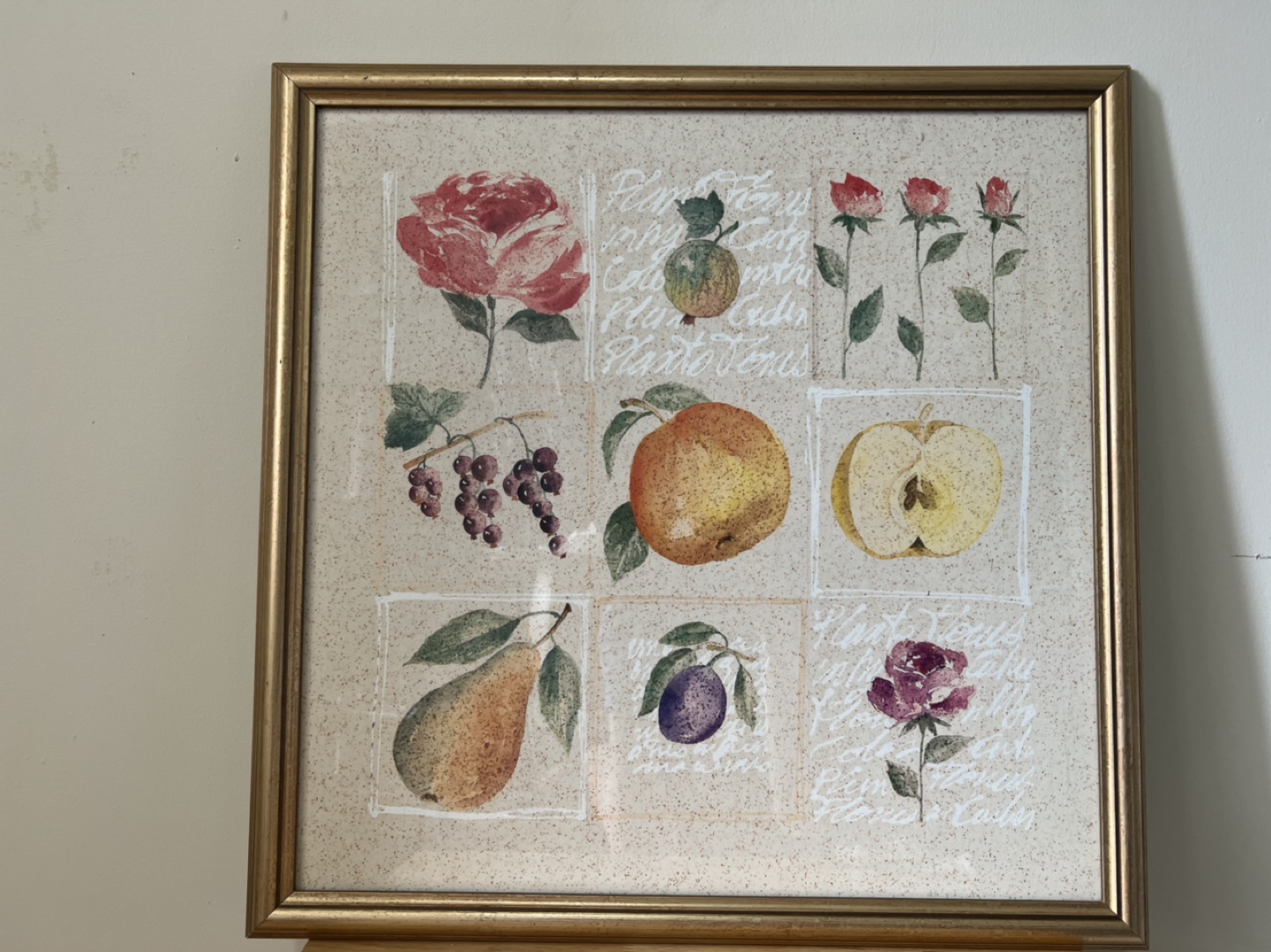 Framed Fruit and Flower Botanical Print - 22” x 22”