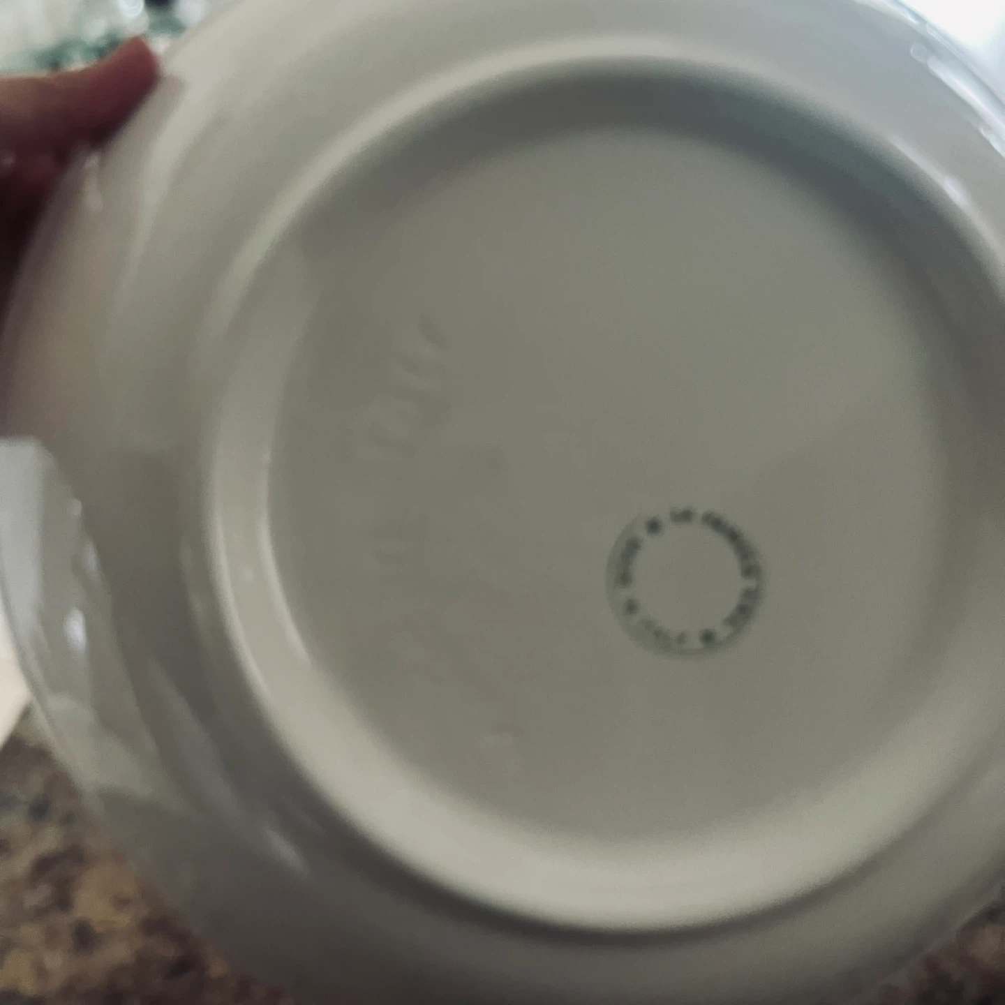 Large Spaghetti Plate - photo 4